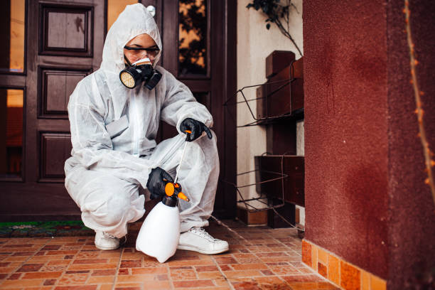 Attic and Crawl Space Rodent Treatment in Doney Park